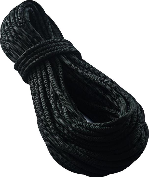 Produktbild Tendon Smart 10.0 Kletterseil schwarz (50 m)
