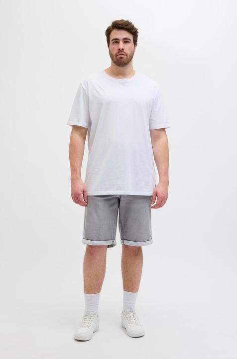Produktbild Jack & Jones JJIRICK JJICON I.K. SHORTS GE 063 SN PLS (42)