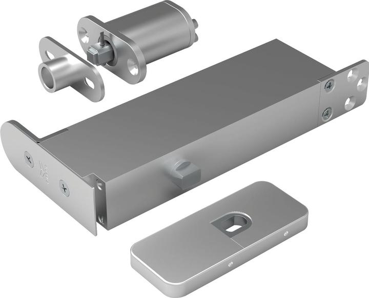 Rieffel Türband Pivotica Pro FM, max. Türgewicht 100kg, Türstärke ab 40 mm, Edelstahl