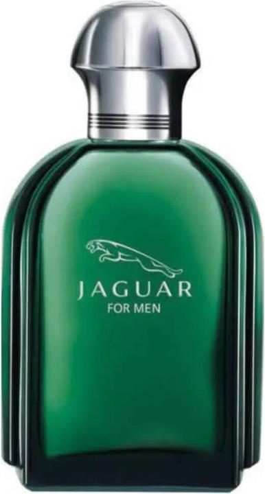 Jaguar For Men (Eau de Toilette, 100 ml)
