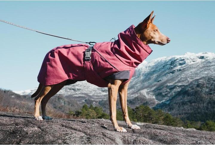 Actual product image Hurtta Expedition (25, XS, Dog coat)