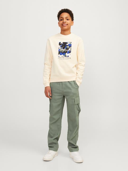 Image du produit Jack & Jones Jpstbill Jjnate Linen Blend Cargo Jnr (134)