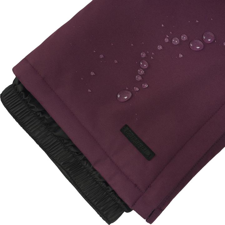 Image du produit Icepeak Curlew (40)