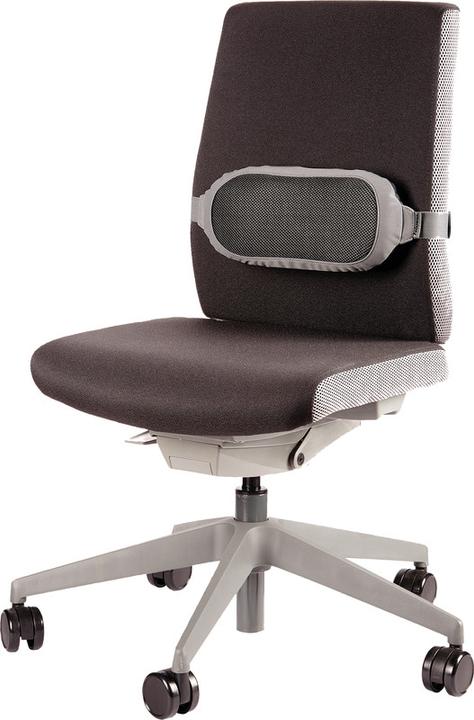 Immagine prodotto Fellowes Cuscino lombare, poliestere (35 x 6 x 16 cm)