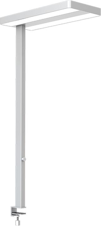 Contini Lampe de bureau avec pince de table (4600 lm)