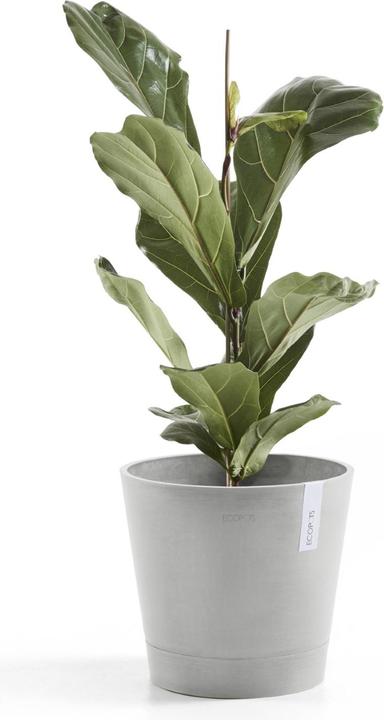 Produktbild Ecopots Venice (40 cm)