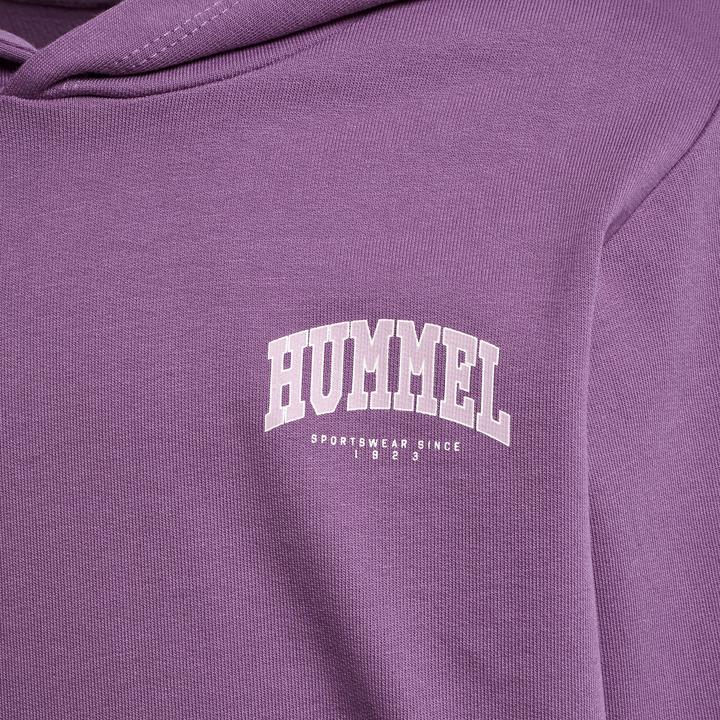 Image du produit hummel Fast Hoodie (110)