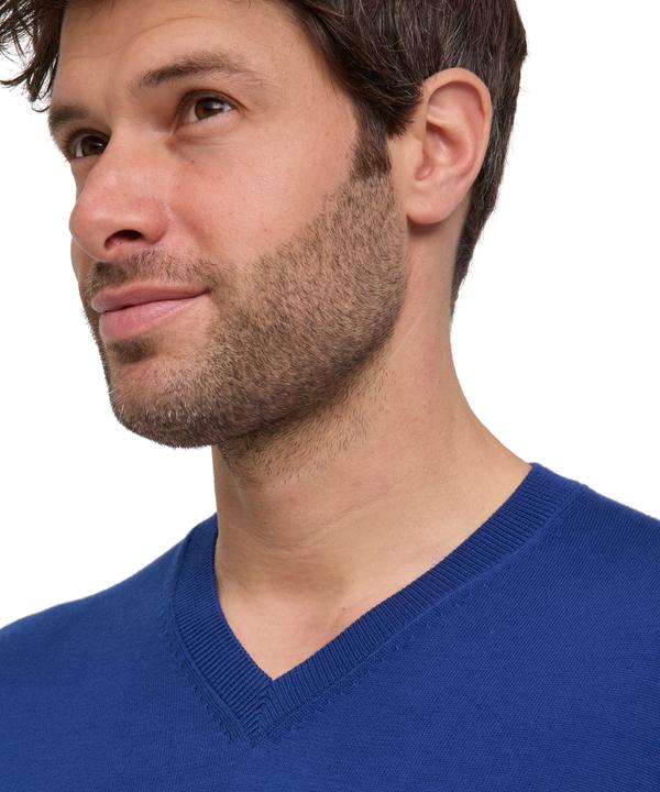 Actual product image Falke FAV Cotton V-Neck m (L)