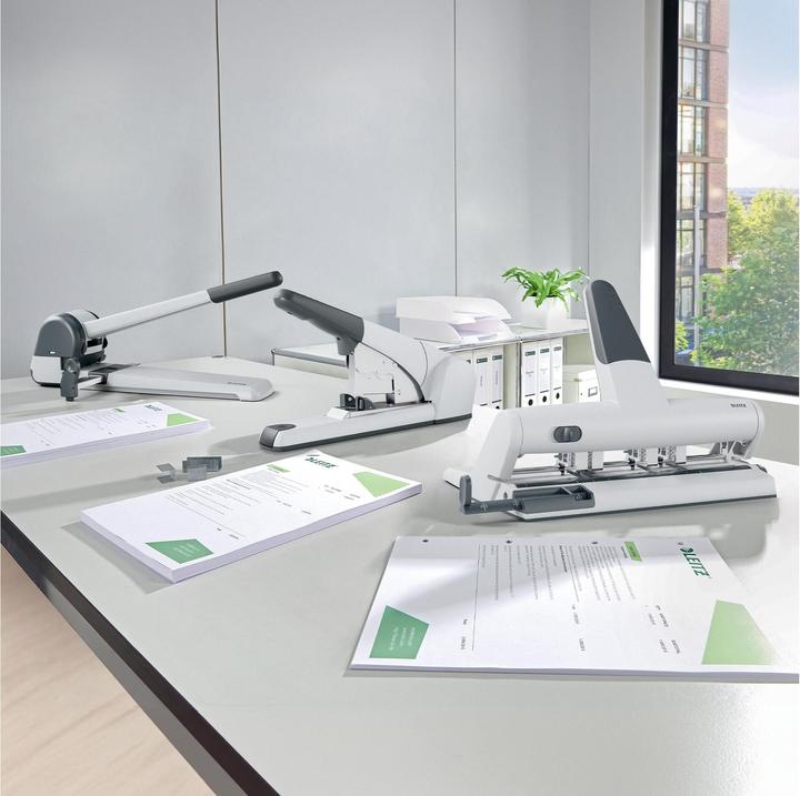 Actual product image Leitz Multi-punch Acto