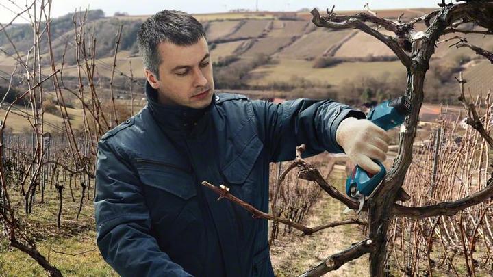 Produktbild Bosch Professional Pro Pruner
