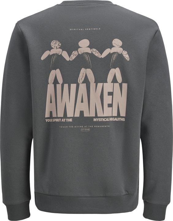 Produktbild Jack & Jones Rückenprint Sweatshirt Sweatshirt (M)
