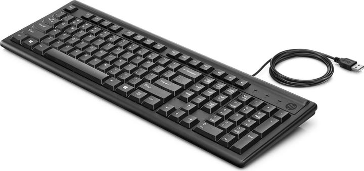 Actual product image HP 100 (CH, Cable)