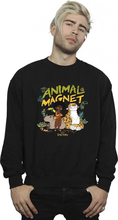 Actual product image Disney Mens Encanto Animal Magnet Sweatshirt (XXL)