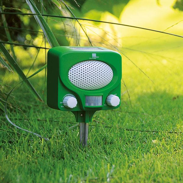 Actual product image Swissinno Solar Ultraschall Tiervertreiber, Marder- & Katzenschreck