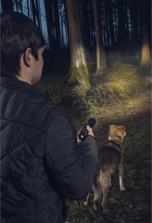 Actual product image Varta Flashlights (23 cm, 700 lm)