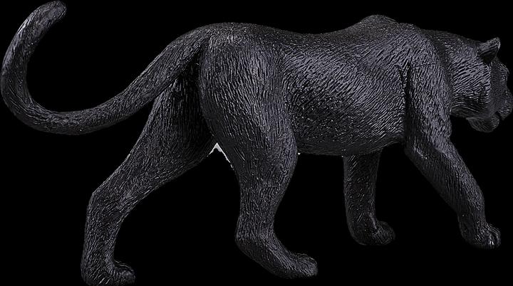 Actual product image Mojo Black Panther
