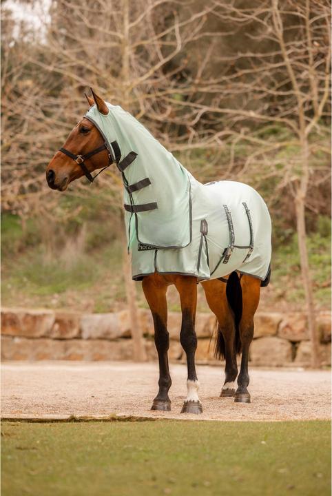 Produktbild Horze Paso Fino (115 cm)