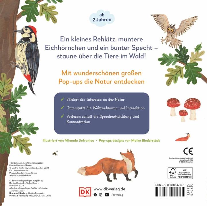 Produktbild Mein Pop-up-Buch zum Staunen. Wer lebt im Wald? (Deutsch)