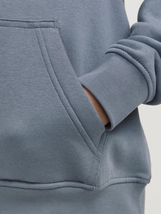 Actual product image Jack & Jones Jorvesterbro Sweat Hood Noos Jnr (164)