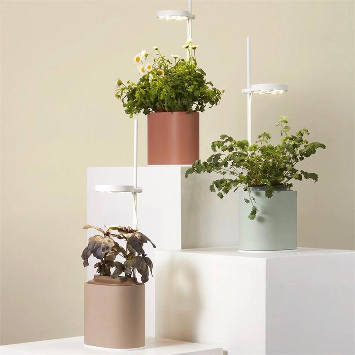 Immagine prodotto Prêt à Pousser Herb Pot Nano, Verde Celadon (13.50 cm)