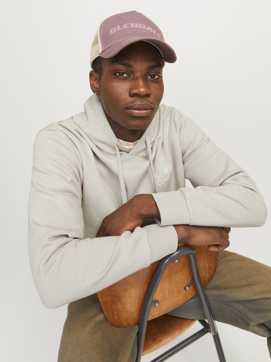 Actual product image Jack & Jones Logo hooded jumper Hooded jumper (M)