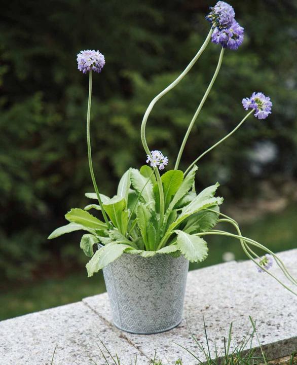 Image du produit Esmée Pot de fleurs / cache-pot Orient, tôle (16 cm)