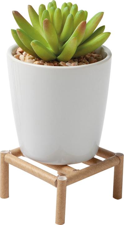 Immagine prodotto Folia Cannucce (25 x)