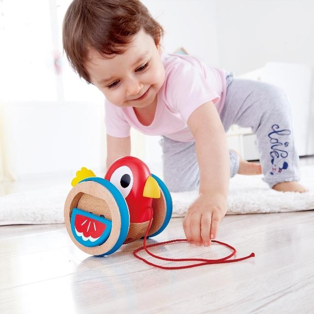Image du produit Hape Birdie