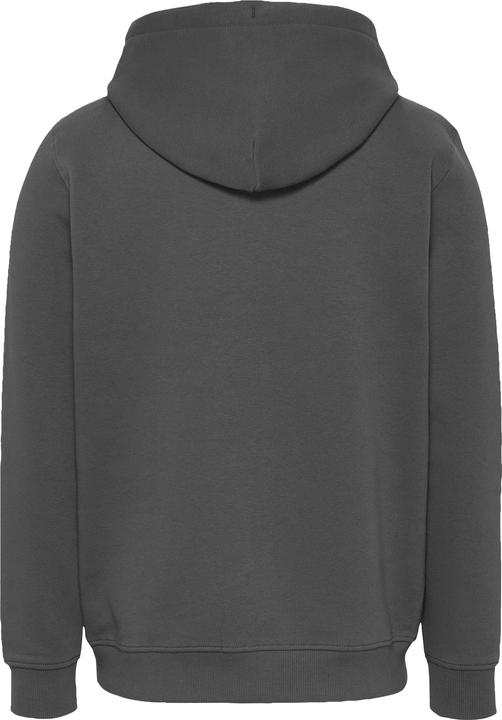 Immagine prodotto Tommy Jeans Tjm Reg Linear Logo Hoodie Ext (XL)