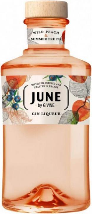 Produktbild G'Vine Esprit de June Gin Likör