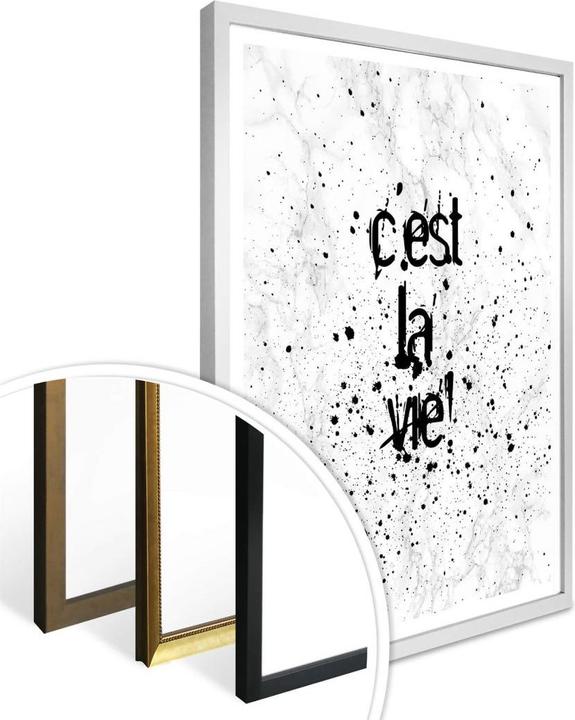 Immagine prodotto Trenddeko C'est la vie (50 x 60 cm)