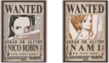 Immagine prodotto GB Eye One Piece - Nami e Robin