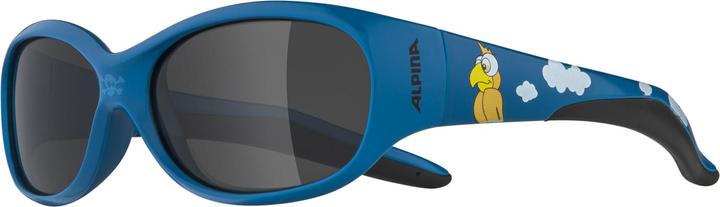 Actual product image ALPINA SPORTS Flexxy