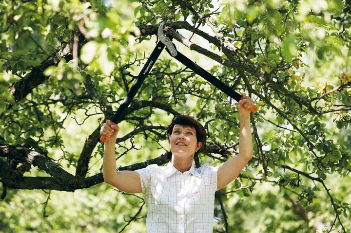 Actual product image Fiskars Astschere Bypass PowerGear II