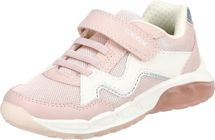 LT ROSE, Avorio C8W1M