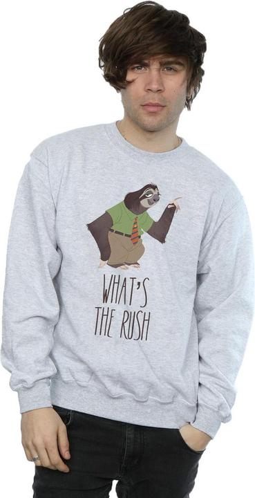 Actual product image Disney Mens Zootropolis What's The Rush Sweatshirt (L)