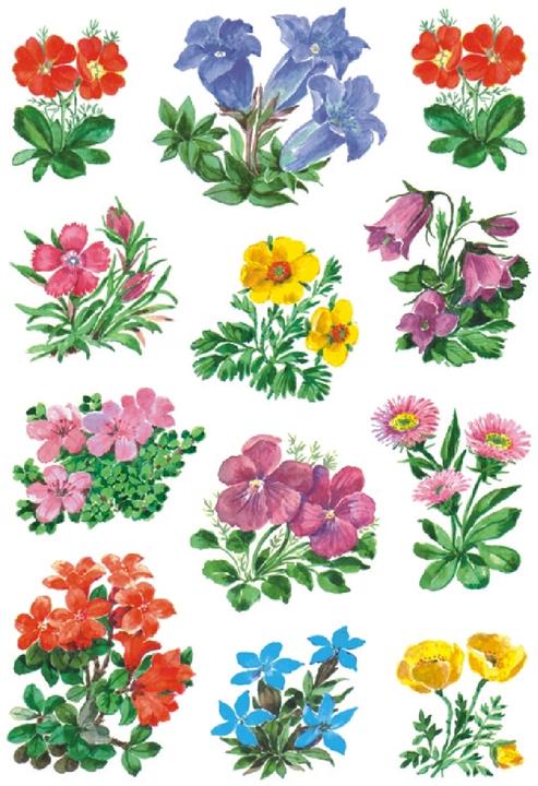 Image du produit HERMA Sticker Fleurs
