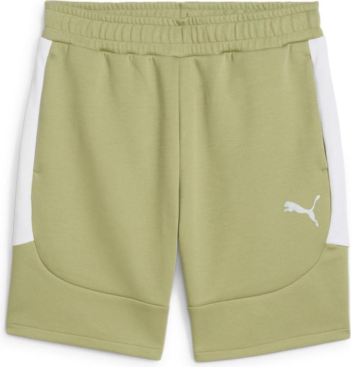 Actual product image Puma teamEVOSTRIPE Shorts (S)