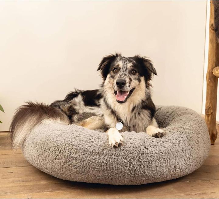 Actual product image Beeztees Jaxx (Dog)