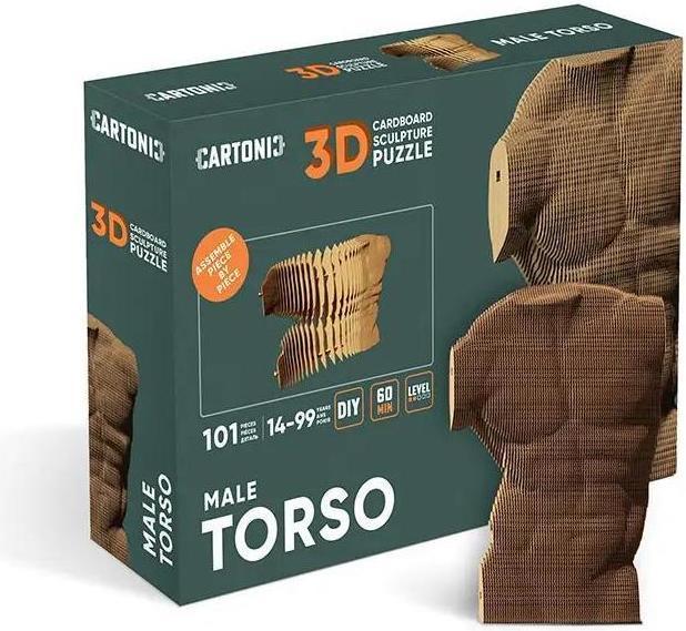 Actual product image Cartonic Male torso