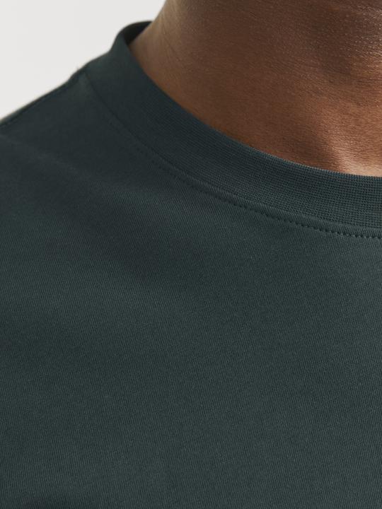 Image du produit Jack & Jones Jorvesterbro Newton Boxfront Tee Ss Bf (S)