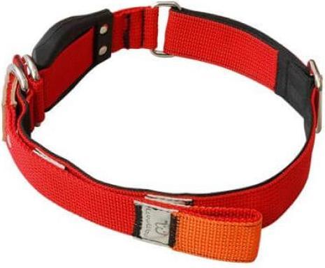 Produktbild WowWow Halsband mit integrierter Auszugsleine Rot M (M, Hund, Allgemein)