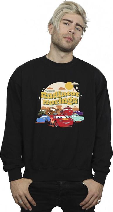 Produktbild Disney Cars Radiator Springs Group Sweatshirt (L)