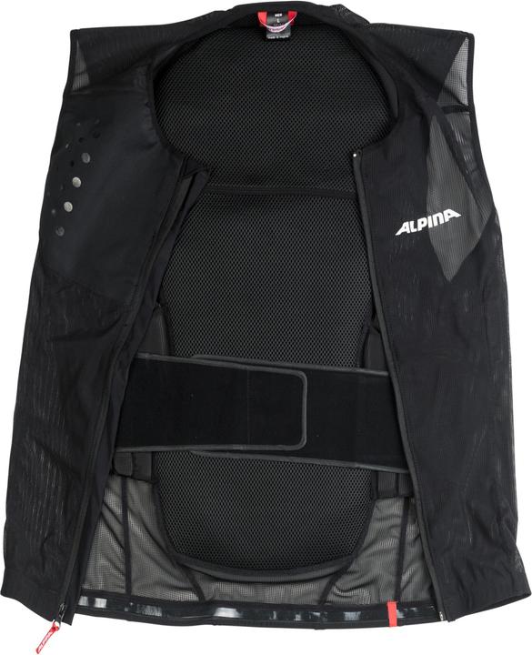 Actual product image ALPINA SPORTS Proshield (XL, Back protector, Unique specimen)