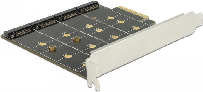 Actual product image Delock Storage controller (RAID)