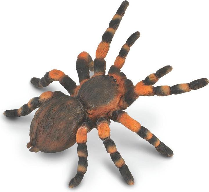 Actual product image Collecta Mexican Red-kneed Bird Spider