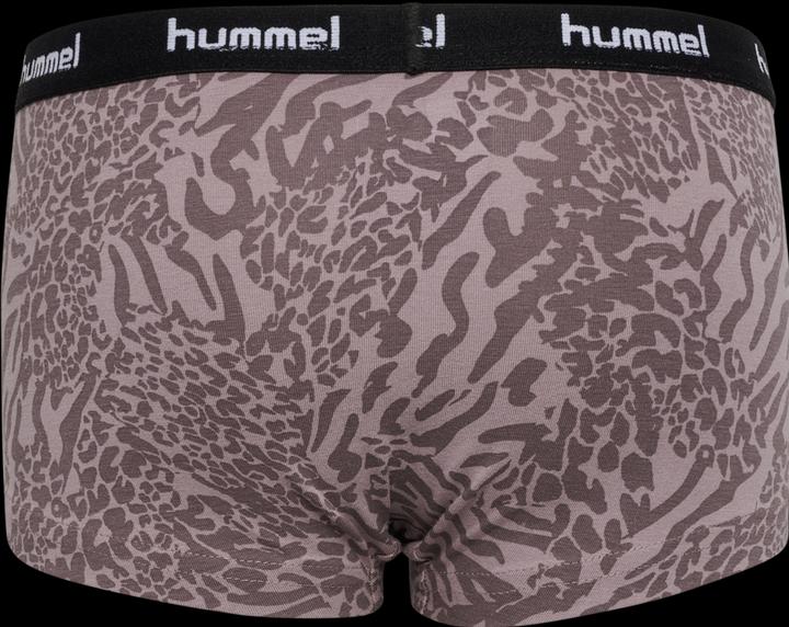 Actual product image hummel Hmlcarolina Hipsters 2-Pack (104, pack of 2)