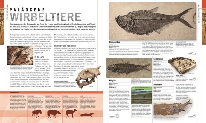 Immagine prodotto Dinosaurier und andere Lebewesen der Urzeit (Tedesco, Christopherua, Tommaso, Jennifer/Duffin, BarryA/Clack, 2020)