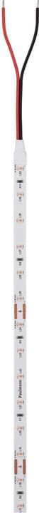 Actual product image Paulmann Pro Strip Silver P25 (Violet, 500 cm, Indoor)