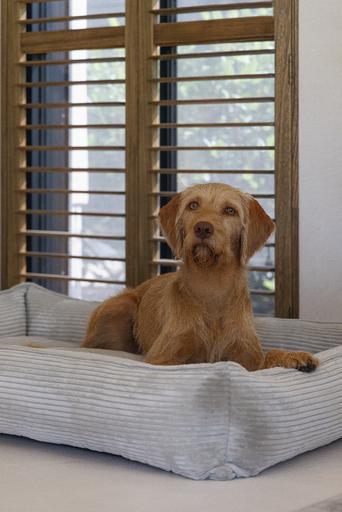 Actual product image Designed by Lotte Liegebett Ribbed (Dog)